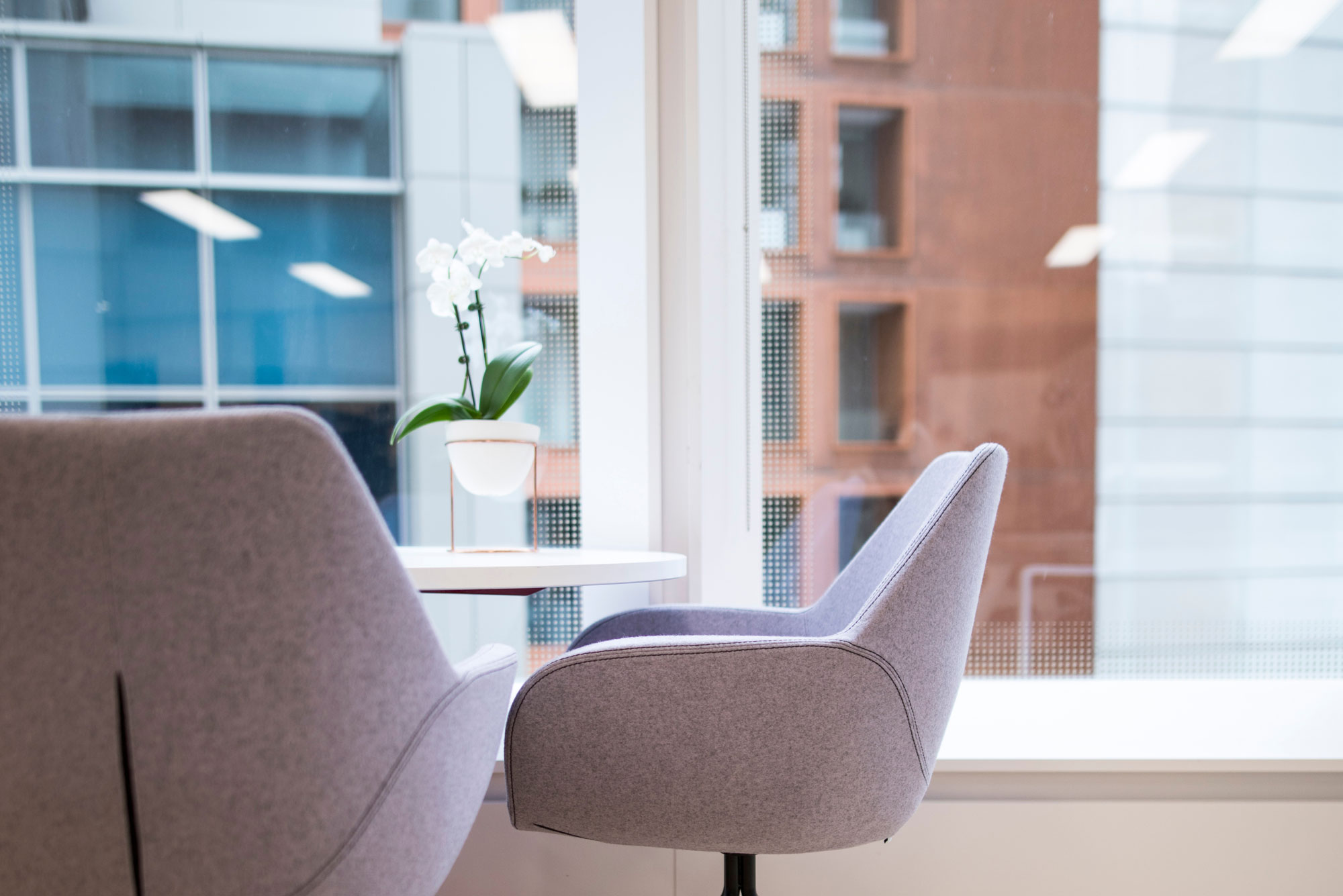 New business start-ups testing the market